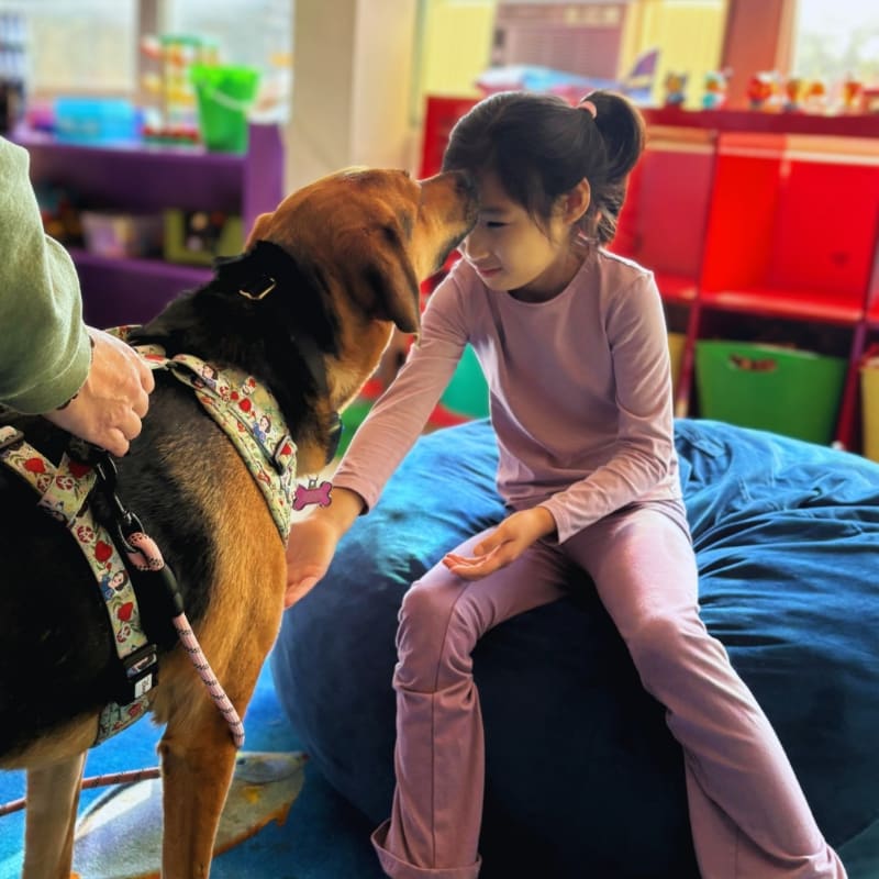A young girl in a pink outfit sits on a large blue beanbag, gently petting a dog in a patterned harness, while a colorful classroom with shelves of toys and books is visible in the background.