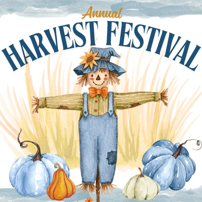A scarecrow with a sunflower hat and blue overalls stands in front of tall, golden grass, surrounded by light blue and orange pumpkins.