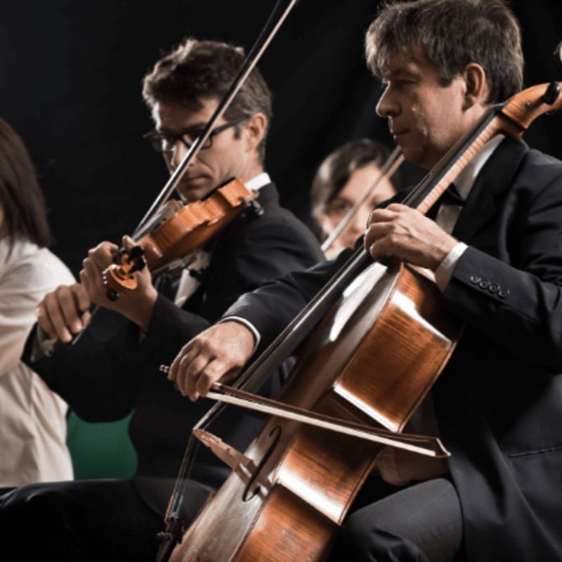 Musicians in formal attire play string instruments in the foreground against a dark, blurred background.