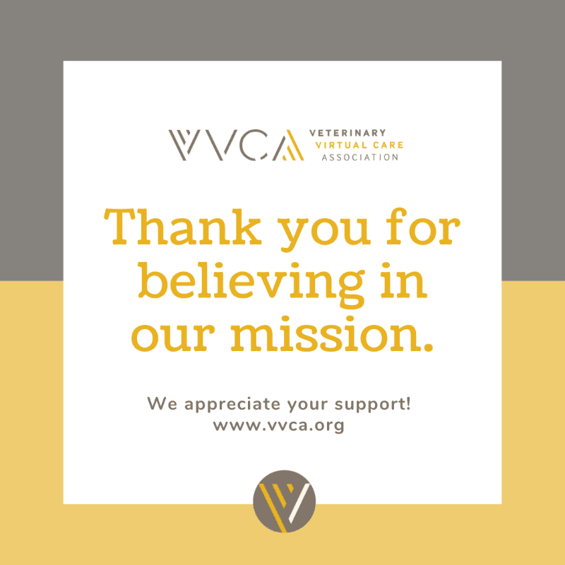 A white square with yellow text saying "Thank you for believing in our mission" is centered on a background split between gray and yellow, with the VVCA logo at the top and bottom.