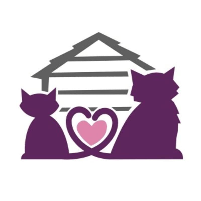 Two purple cat silhouettes sit facing away from the viewer, their tails intertwined to form a pink heart, with a stylized gray house structure behind them.