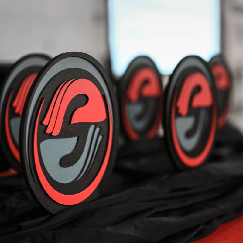 Several oval awards with a red and gray logo are displayed on a black cloth in the foreground, with a blurred bright screen in the background.