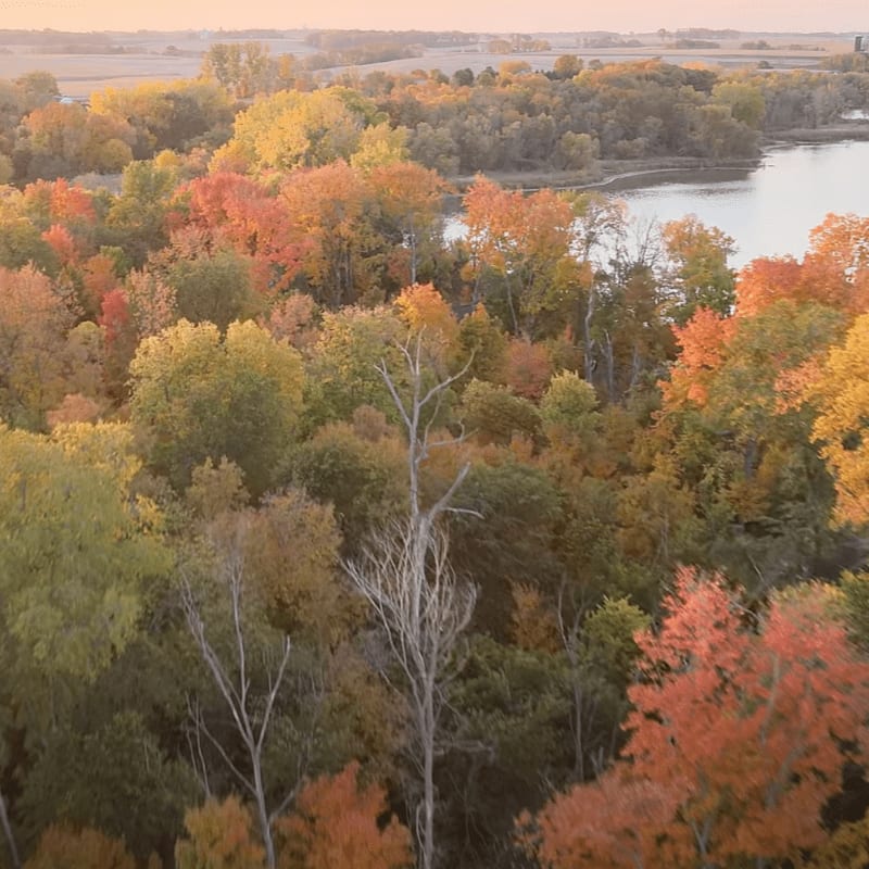 A vibrant autumn forest with trees in shades of orange, yellow, and green fills the foreground, leading to a calm body of water in the background under a soft, hazy sky.