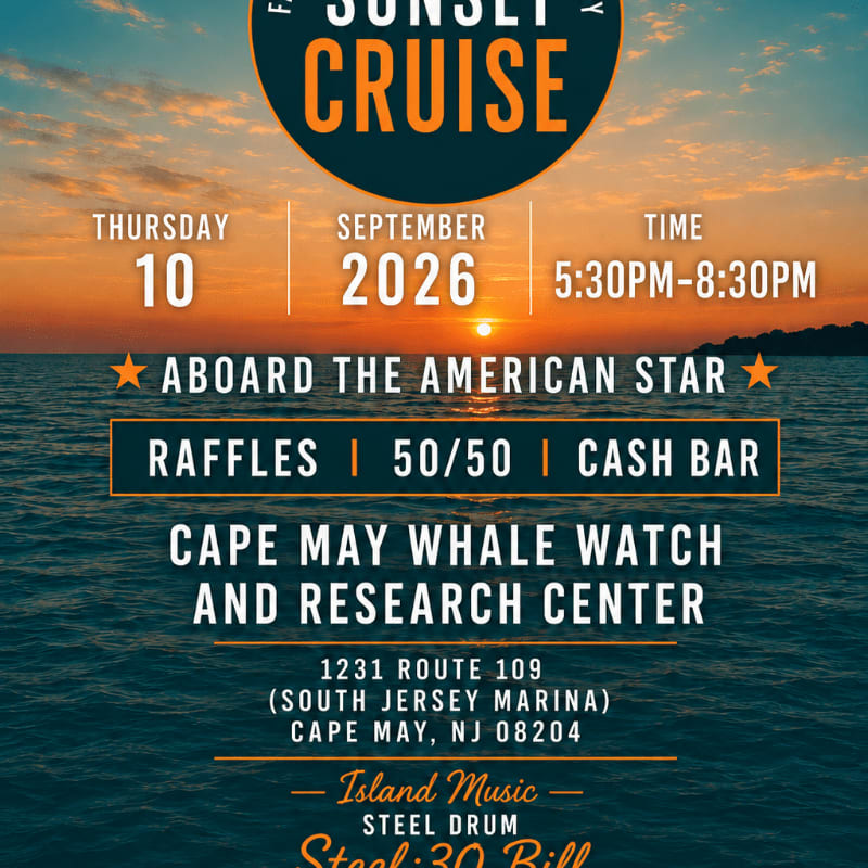 A vibrant sunset over the ocean serves as the backdrop for a flyer advertising a sunset cruise with event details.