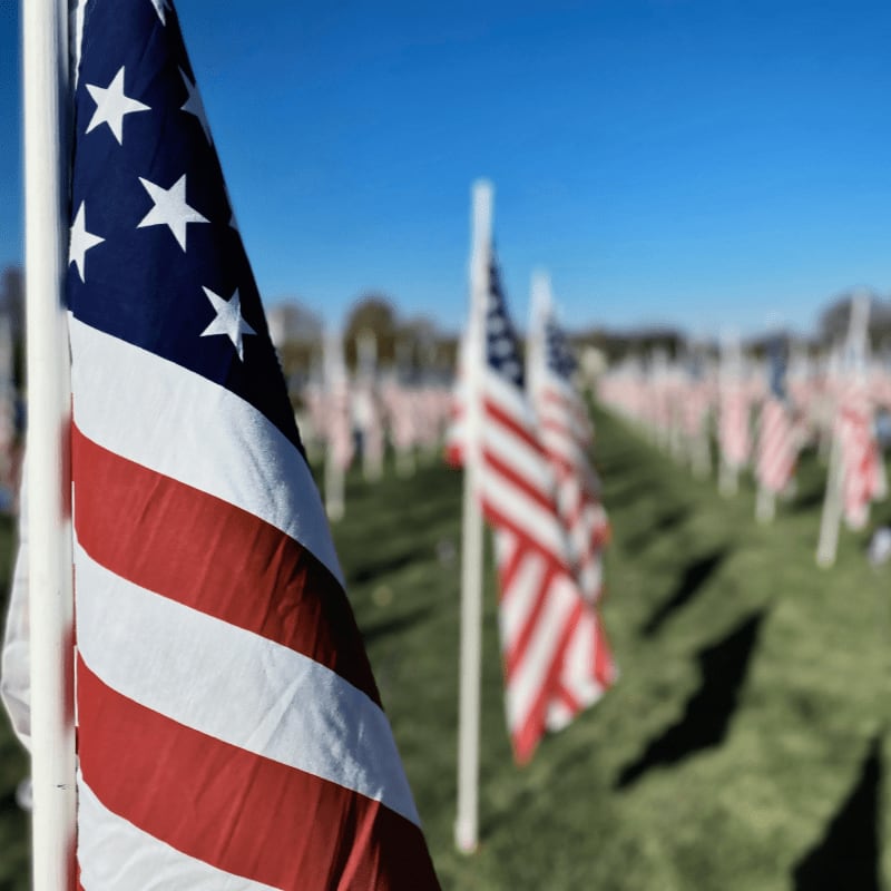 a field full of american flags on a sunny day