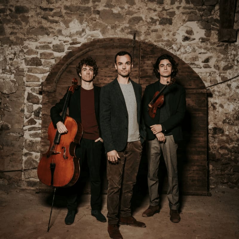 Three musicians, one with a cello and another with a violin, stand in front of a large wooden door set into a stone wall.