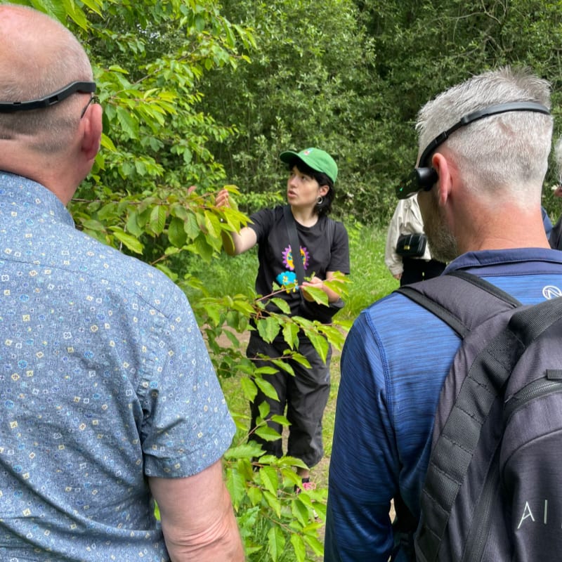 A woman in a green hat gestures to leaves in the foreground while two men with augmented reality glasses look on, with a lush green forest in the background.