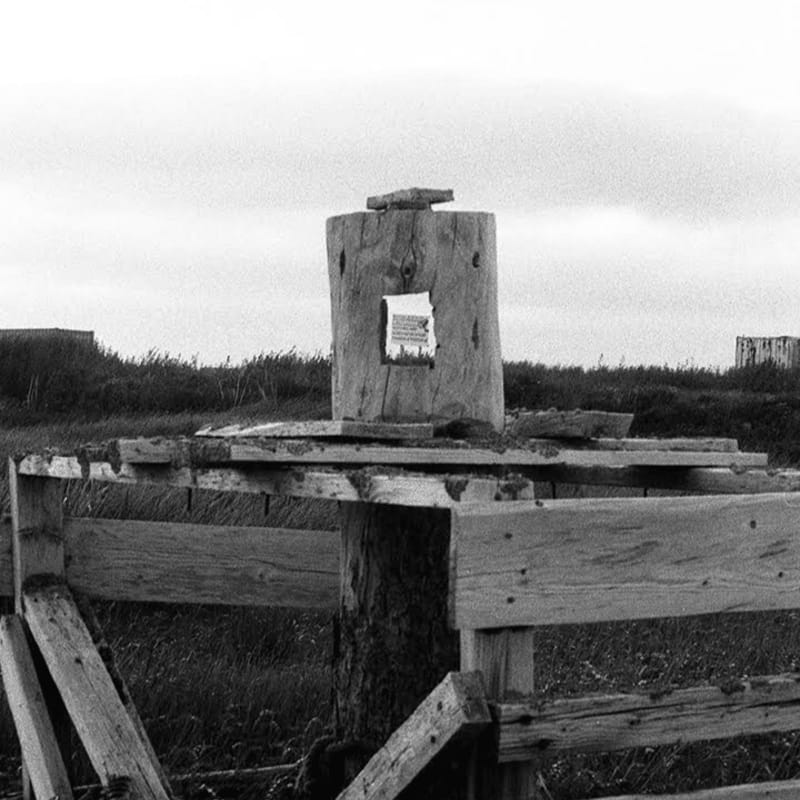 A weathered wooden structure with a hollowed-out log in the foreground stands against a backdrop of a cloudy sky and distant buildings.