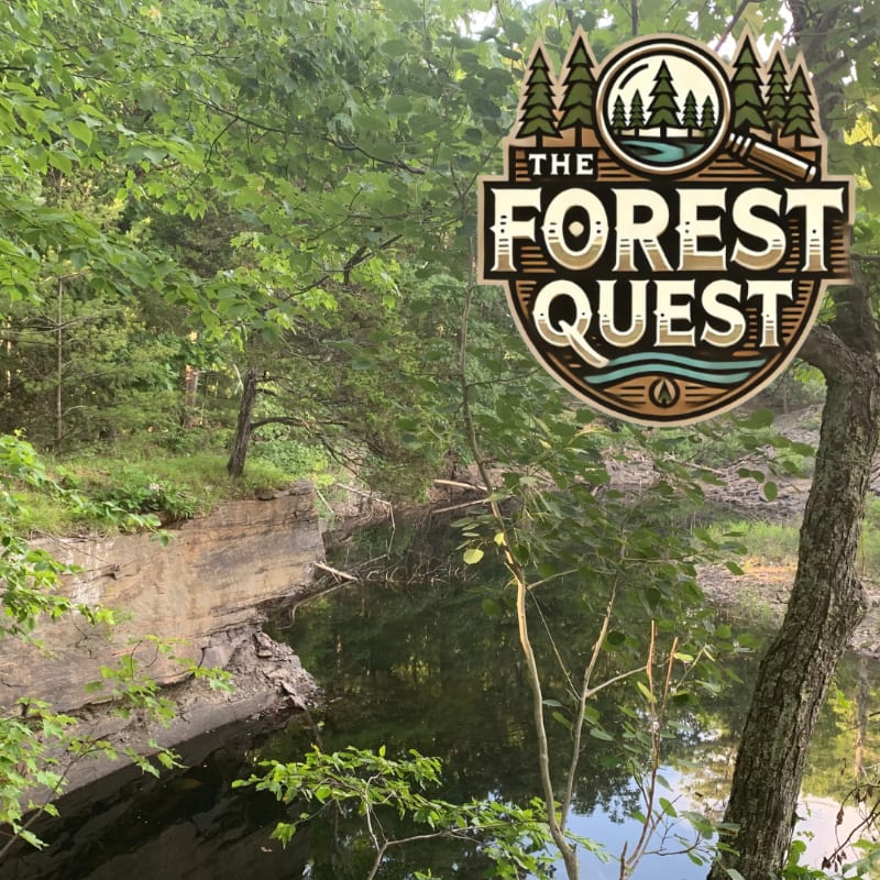 Lush green trees frame a calm body of water with a rocky embankment in the foreground, while a "The Forest Quest" logo is superimposed in the upper right corner.