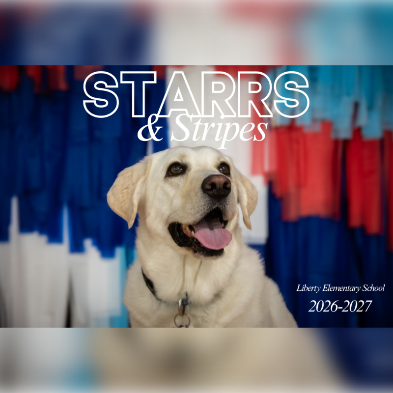 A happy yellow lab sits in front of a blurred red, white, and blue striped background with "STARR & Stripes" text and school information.