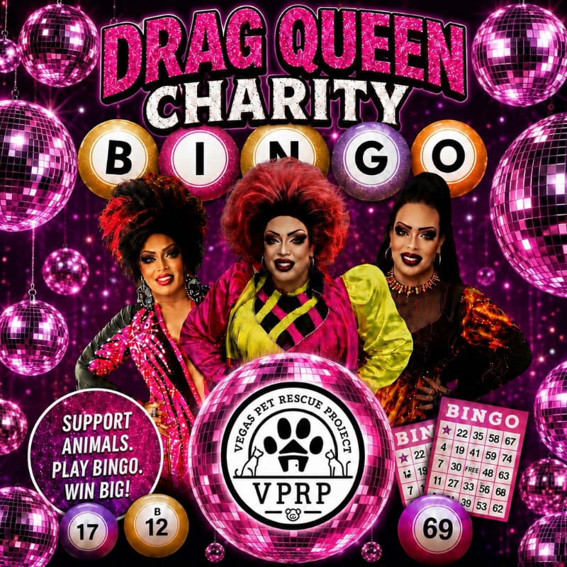 Three drag queens in vibrant outfits pose in front of a "Drag Queen Charity Bingo" backdrop adorned with disco balls and bingo cards.