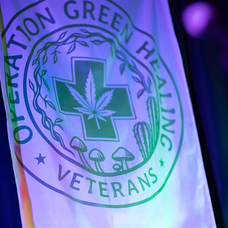 A white flag with a green circular logo featuring a cannabis leaf, mushrooms, and cacti is illuminated by purple and green lights against a dark, blurred background.