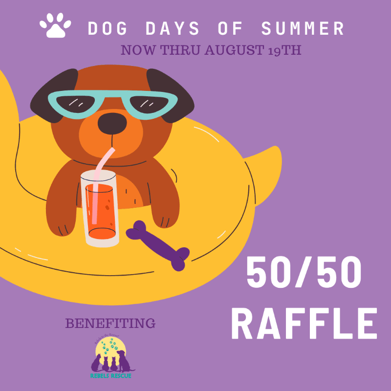 A cartoon dog wearing sunglasses floats on a yellow inner tube with a drink and a bone, set against a purple background advertising a 50/50 raffle for "Dog Days of Summer."