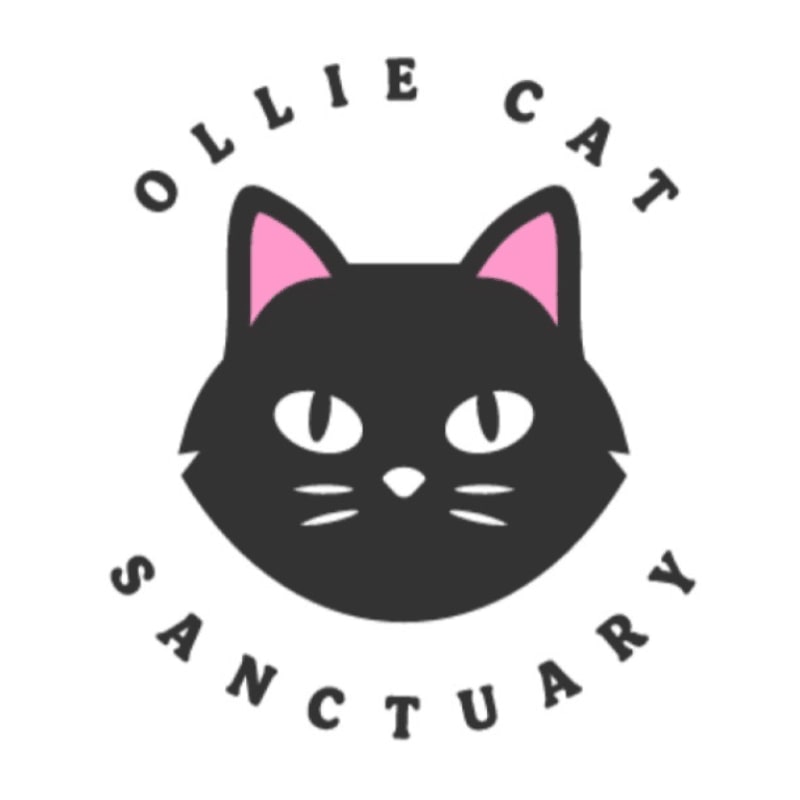 A black cat's face with pink ears and white eyes is centered on a white background, surrounded by the words "OLLIE CAT SANCTUARY" in a circular pattern.