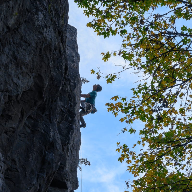 A rock climber ascends a sheer cliff face against a backdrop of a bright blue sky and autumn foliage.