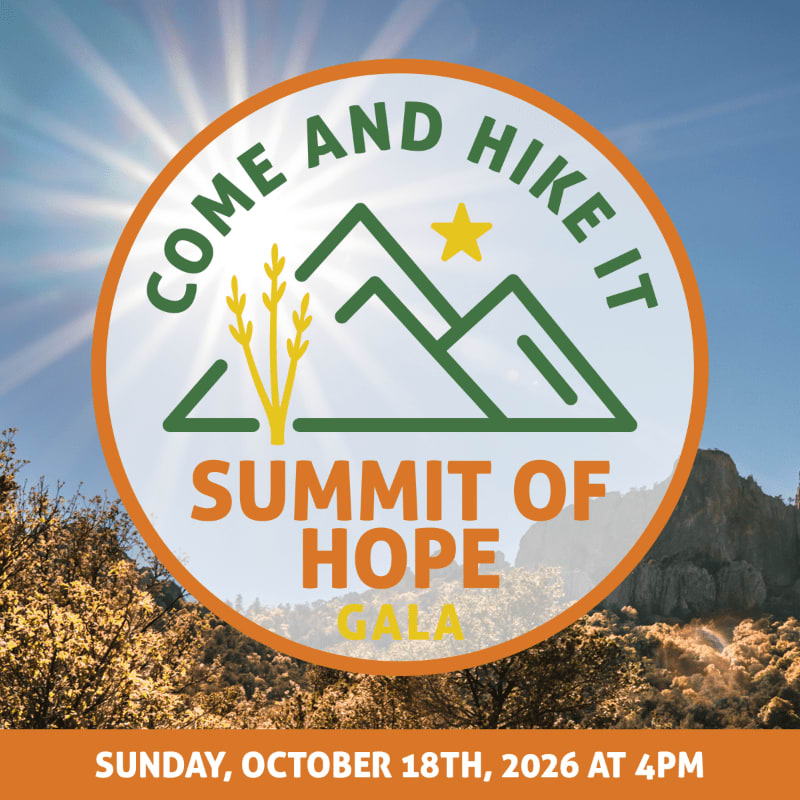 A circular logo with mountains and text "COME AND HIKE IT SUMMIT OF HOPE GALA" is superimposed over a sunny mountain landscape with trees in the foreground and text at the bottom announcing "SUNDAY, OCTOBER 18TH, 2026 AT 4PM".