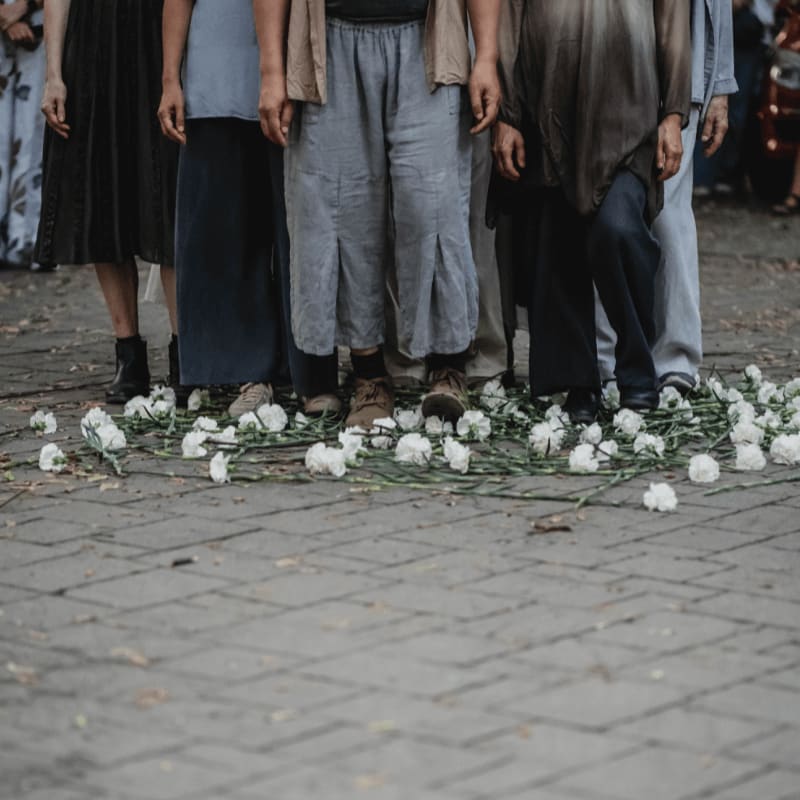 A group of people stand with their feet on a bed of white flowers, with a cobblestone path in the foreground and a blurred background.