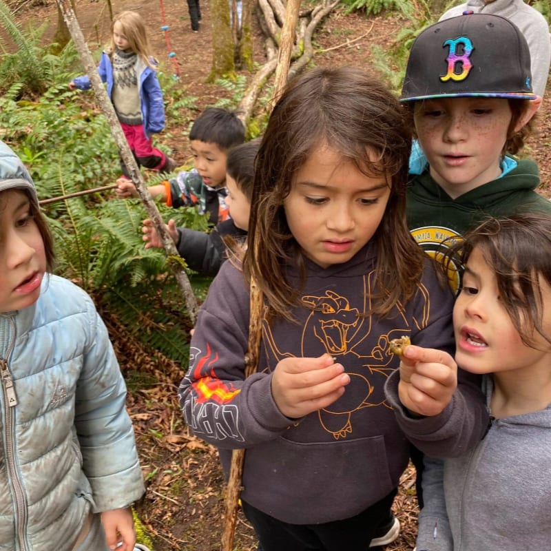 Children in the foreground examine a small object while others explore a wooded area in the background.