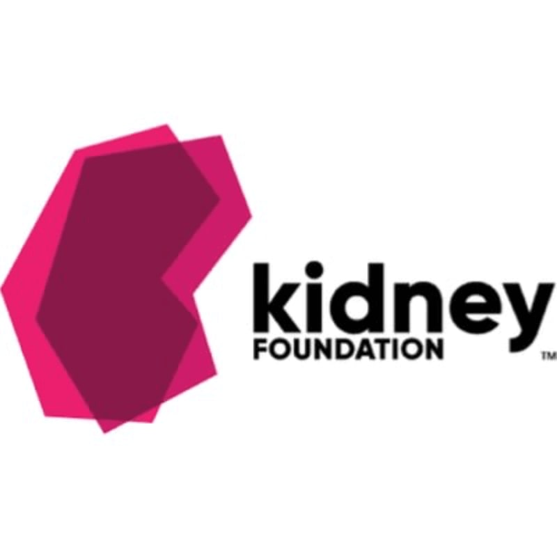 A stylized pink kidney shape is to the left of the black text "kidney FOUNDATION" on a white background.