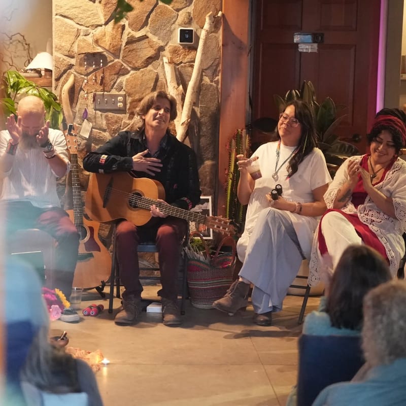 Four people are seated in front of a stone wall with plants, while an audience watches them.