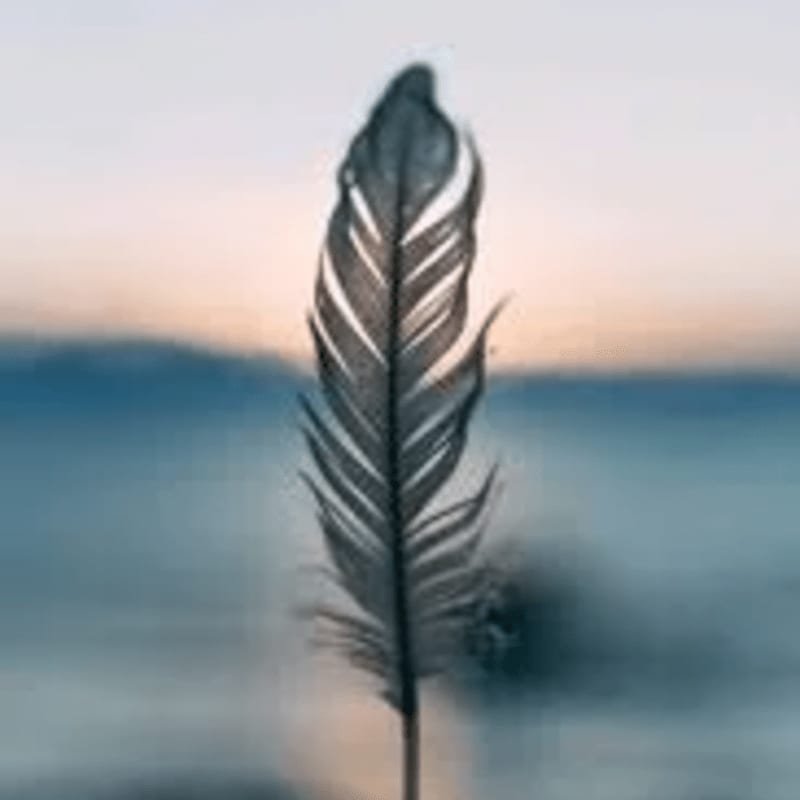 A single, dark feather stands in sharp focus against a soft, blurred background of blue water and a pale sky.