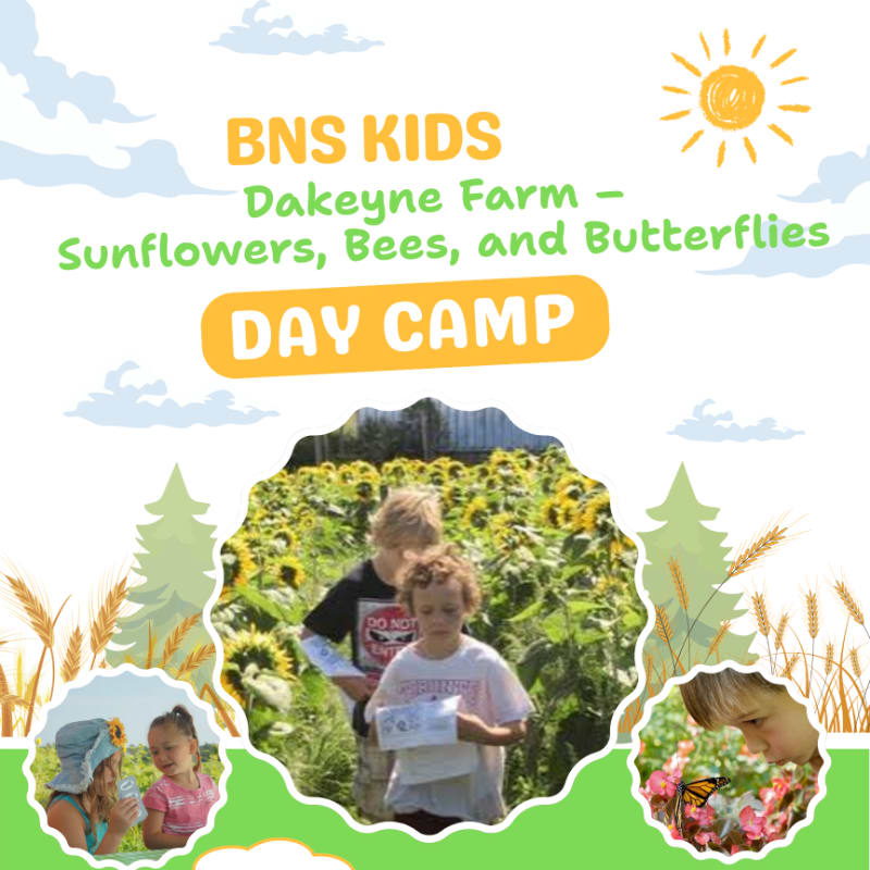 Two children stand in a sunflower field in the foreground, while a stylized sun and clouds are in the background.
