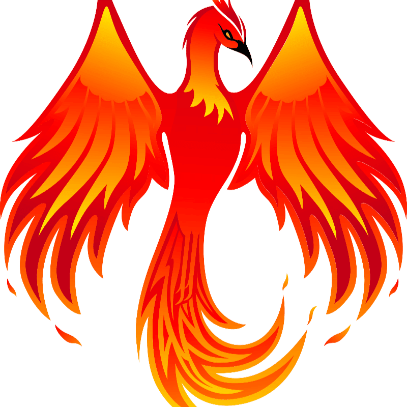 A vibrant phoenix with outstretched wings and a fiery tail rises against a plain white background.