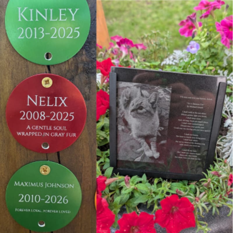 Three circular pet memorial tags hang on a wooden surface in the foreground, while a granite memorial plaque with a pet's image and poem is nestled amongst vibrant pink and purple flowers in the background.