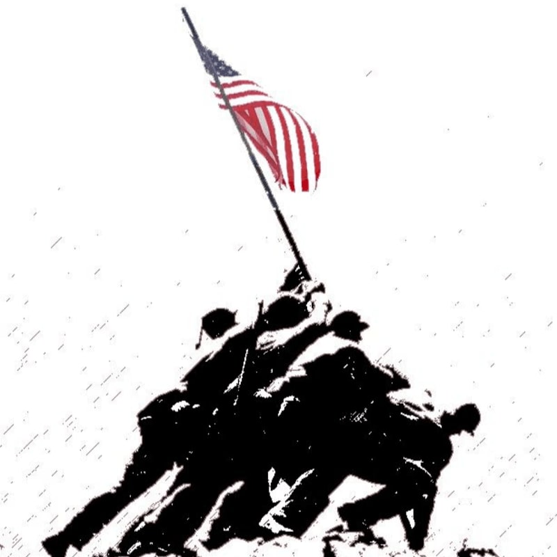 Silhouetted figures raise an American flag against a stark white sky.