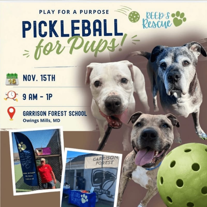Three dogs are featured in the foreground with event details on the left and a pickleball in the lower right corner, all set against a blurred background of a sports field.