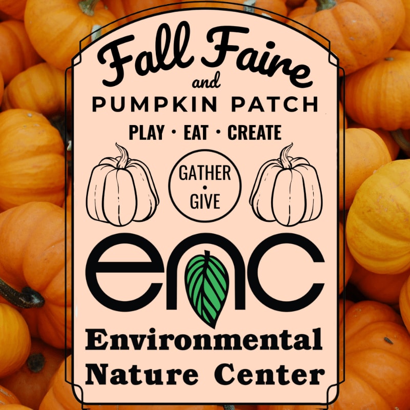 A sign for the "Fall Faire and Pumpkin Patch" at the Environmental Nature Center is displayed against a backdrop of numerous pumpkins.