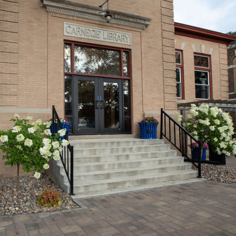 A wide set of concrete stairs leads to the double glass doors of a tan brick Carnegie Library, flanked by lush white hydrangeas and decorative blue planters.