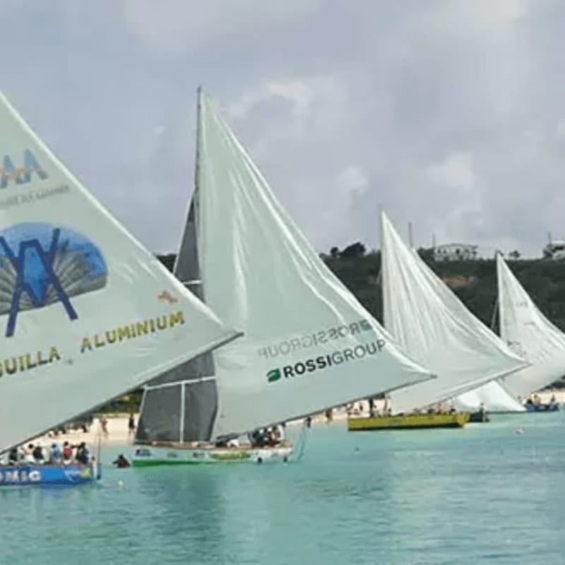 Several sailboats with white sails race across turquoise water in the foreground, with a sandy beach and distant buildings visible in the background.