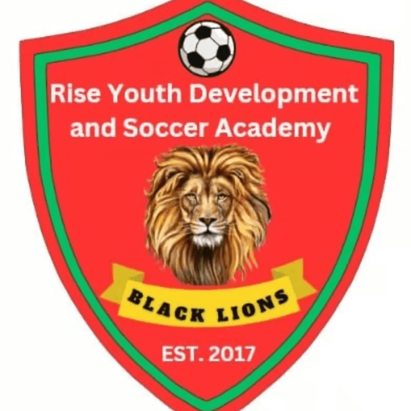 A red shield with a green border frames a soccer ball at the top, a lion's head in the center, and a yellow banner with "BLACK LIONS" and "EST. 2017" below it, all against a white background.