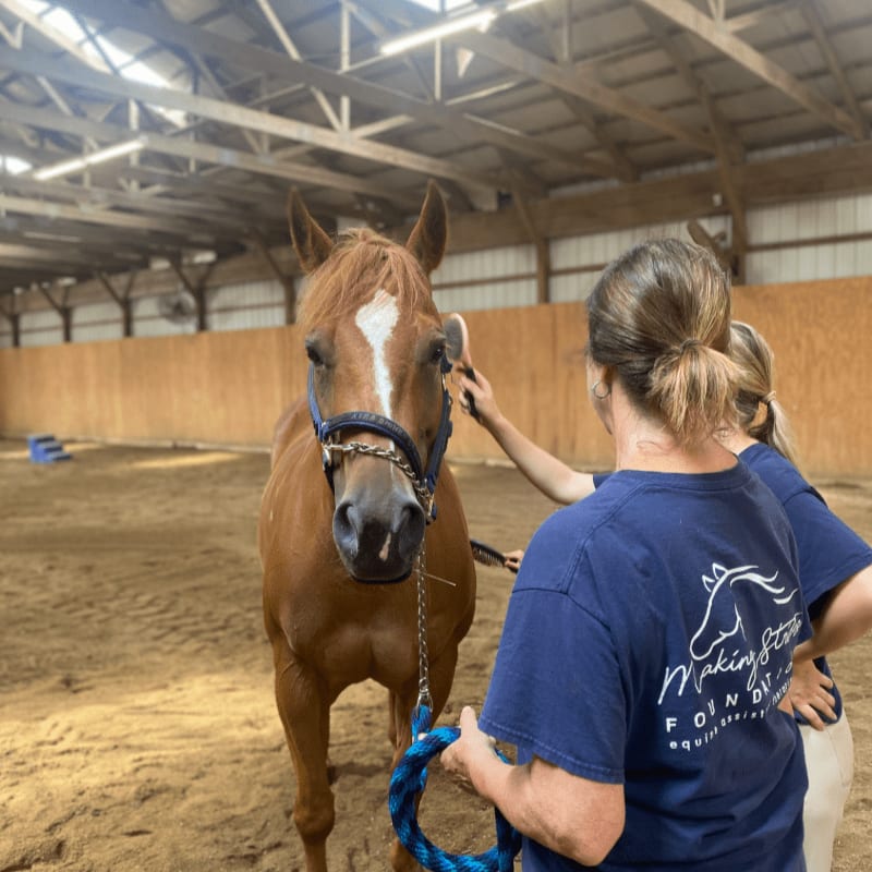 A chestnut horse with a white blaze stands in a sandy arena, while two people in blue shirts tend to it.