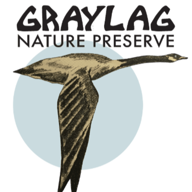 A goose in flight is silhouetted against a pale blue circle, with the words "GRAYLAG NATURE PRESERVE" in black text above it.