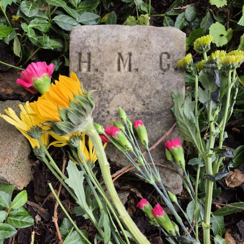 A weathered stone marker with "H. M. C." carved into it is surrounded by vibrant flowers and green foliage.