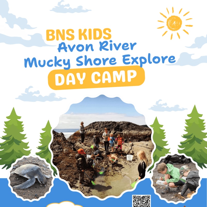 Children explore a rocky, muddy shore with a turtle and a QR code in the foreground, set against a backdrop of trees and a sunny sky with text announcing "BNS KIDS Avon River Mucky Shore Explore DAY CAMP."