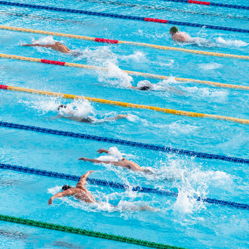people in swimming pool