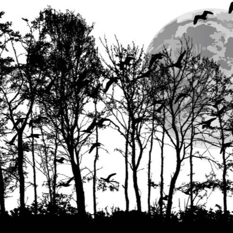 Silhouetted trees with birds in flight are in the foreground, with a large, textured moon in the background.
