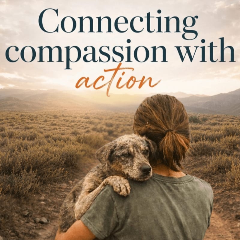 A person carries a dog in their arms against a backdrop of rolling hills and a sunset, with the words "Connecting compassion with action" overlaid.