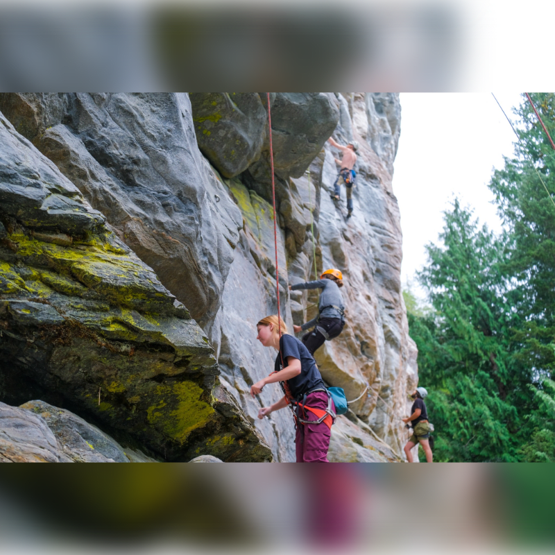 In the foreground, a woman in a black shirt and purple pants is belaying a climber on a mossy rock face, while in the background, trees and a cloudy sky frame the scene.