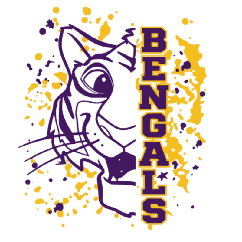 A stylized purple and yellow tiger face with "BENGALS" written vertically in purple and yellow letters is set against a white background with yellow and purple splatters.