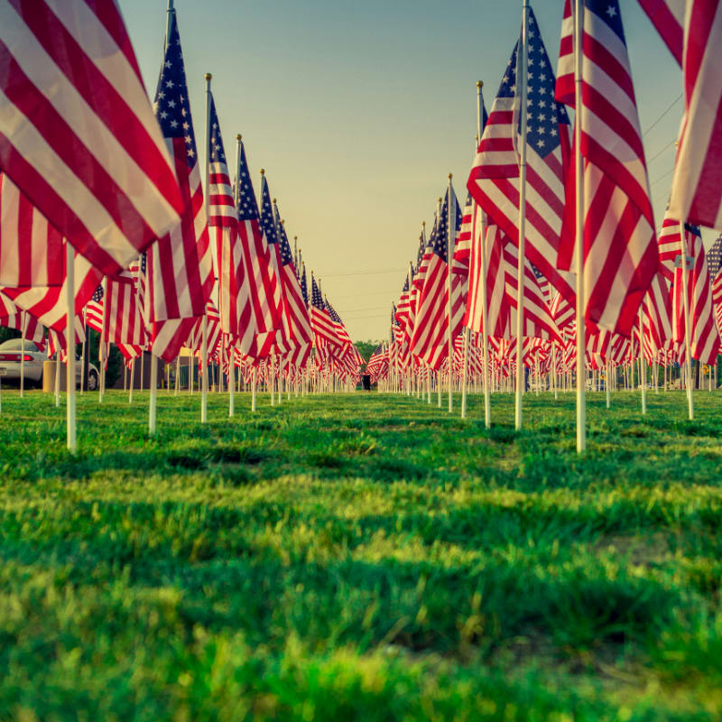 us a flags on green grass field during daytime