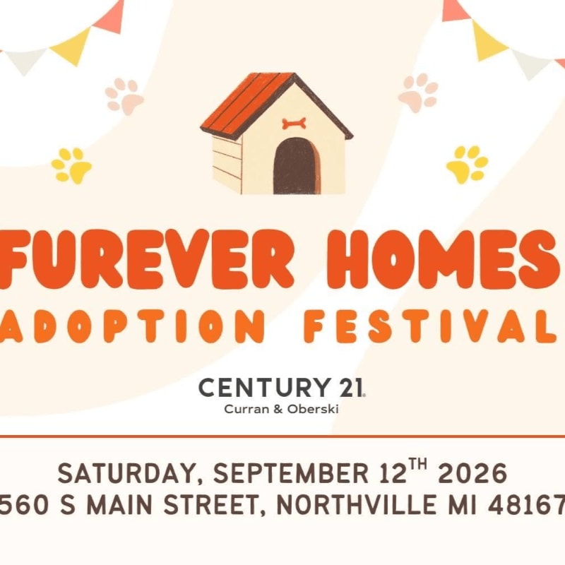 A doghouse with paw prints and pennants adorns the top of an announcement for the "Furever Homes Adoption Festival" on Saturday, September 12th, 2026, at 560 S Main Street, Northville, MI 48167, sponsored by Century 21 Curran & Oberski.