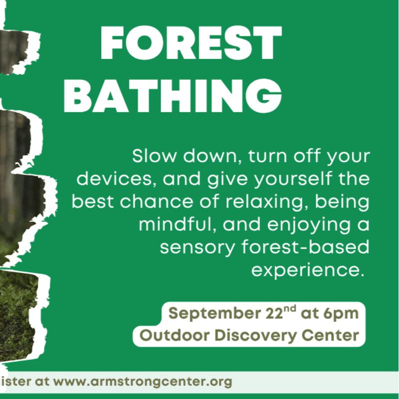 Green text on a textured background advertises a "Forest Bathing" event with details about relaxation and a date, time, and location.