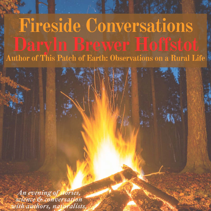 A vibrant campfire burns in the foreground against a backdrop of silhouetted trees at dusk, with the title "Fireside Conversations" prominently displayed.
