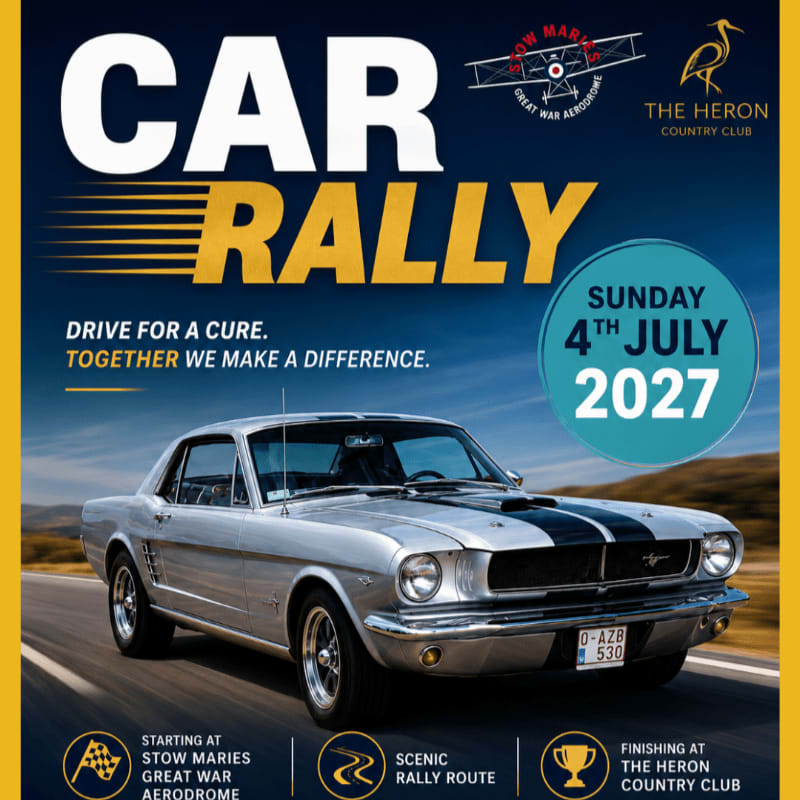 A silver classic car with black racing stripes is featured in the foreground, with a blue sky and clouds in the background, all part of a "Car Rally" advertisement.