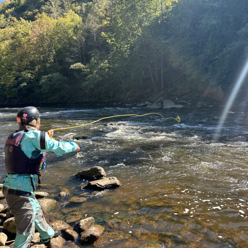 A person in fishing gear casts a line into a rocky, fast-flowing river, with a sun-dappled forest in the background.