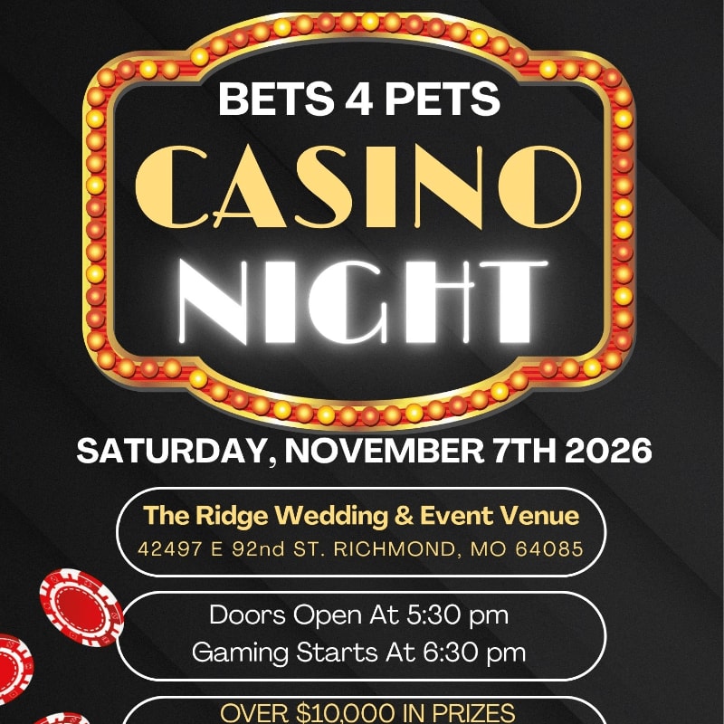 A casino-themed event poster for "BETS 4 PETS CASINO NIGHT" on Saturday, November 7th, 2026, is set against a dark background with glowing lights and poker chip graphics in the foreground.